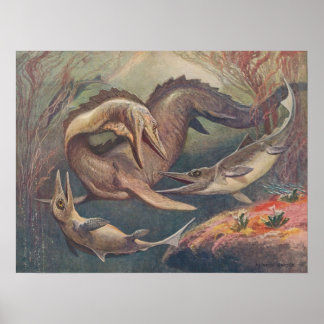 Mosasaurus Ichthyosaurus Antiek print