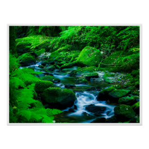 Mosbosstroom in Killarney National Park Perfect Poster