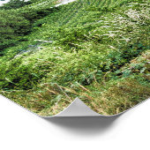 Moselle Loop Sunset Kroev Panorama Duitsland Poster (Hoek)