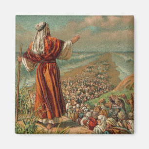 Moses Onderdelen het Rode Zee Magneet