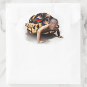 Moskou Mitch Man-Turtle Ovale Sticker (Tas)