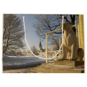 Moskou. Winter. leeuwsculptuur. Groot Cadeauzakje (Achterkant)