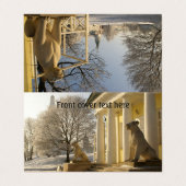 Moskou. Winter. leeuwsculptuur. Visitekaartjes (Buitenkant ongevouwen)