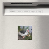 Moskovige Eend Moeder met Eenden Magneet (Insitu (Vaatwasser))