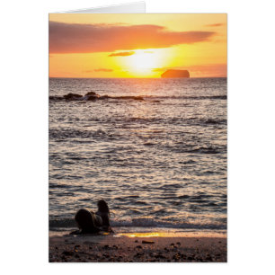 Mosquera Islet Sunset