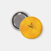 Mosquito in Amber Sap Fossil Replica Prehistorisch Magneet (Voorkant / Achterkant)