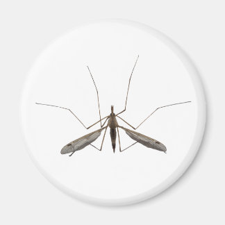Mosquito Magneet