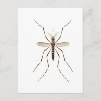 Mosquito POWER Briefkaart