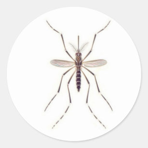 Mosquito POWER Ronde Sticker