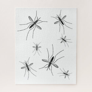 Mosquito Puzzle Arrière - plan blanc