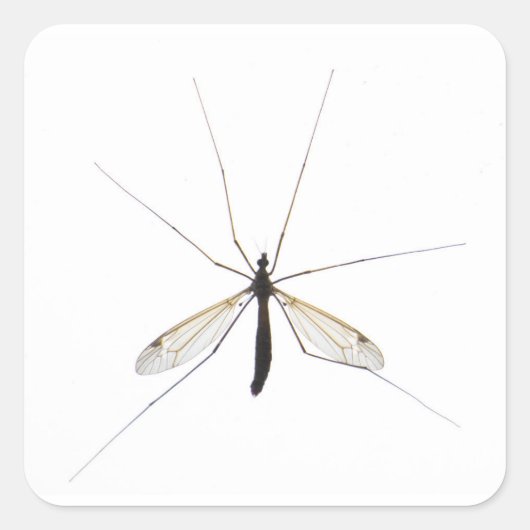 Mosquito Vierkante Sticker (Voorkant)