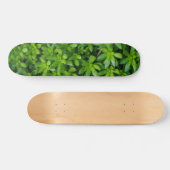 Moss Abstract Skateboard (Horizontaal)