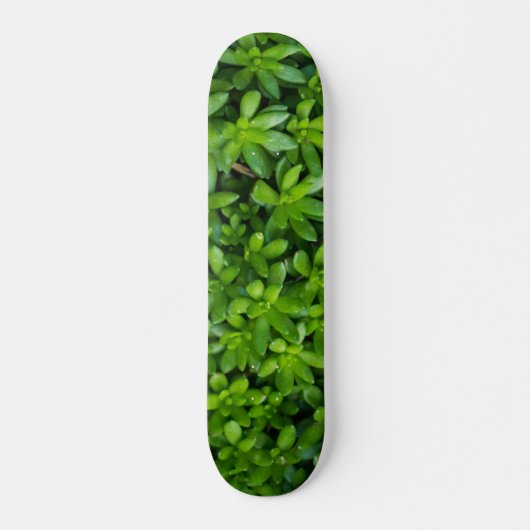 Moss Abstract Skateboard (Voorkant)