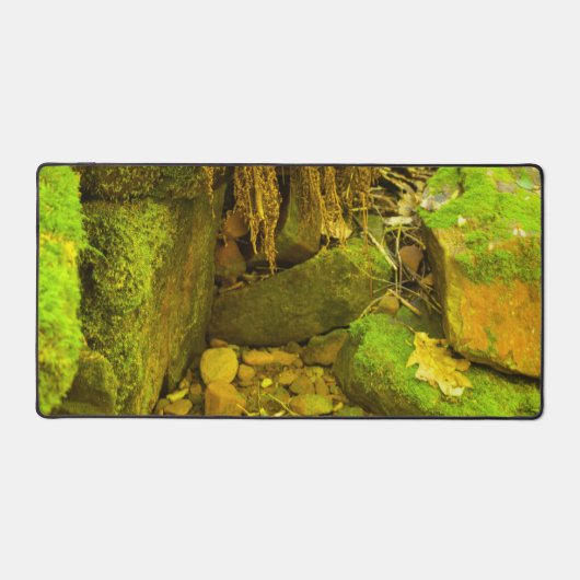 Moss and Stone – Hungarian Falls, Upper Peninsula (Recto)