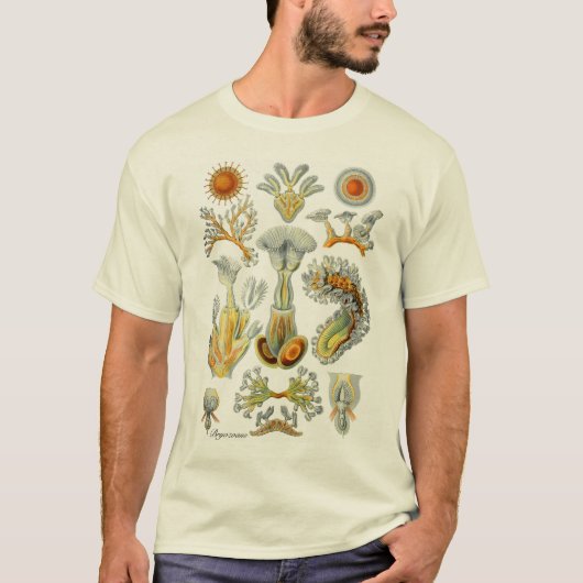 Moss Animals T-shirt (Voorkant)