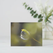 Moss avec carte postale (Debout devant)