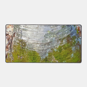 Moss Birch Tree Bark Rustic Country Natuur Foto Bureaumat