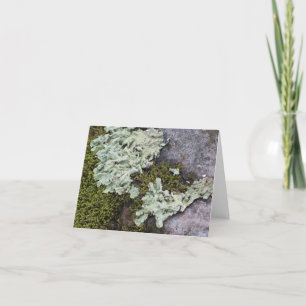 Moss et Lichen Carte pour notes