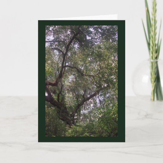 Moss Forest Canopy Carte de voeux personnalisée Lo (Devant)