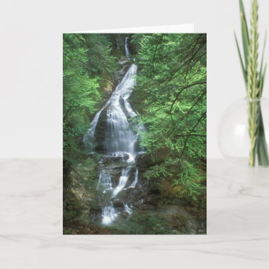 Moss Glen Herfsten Stowe Vermont Kaart (Voorkant)