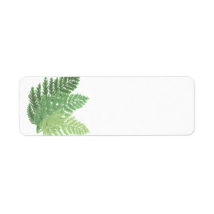 Moss Green Fern Etiket