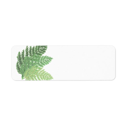 Moss Green Fern Etiket (Voorkant)