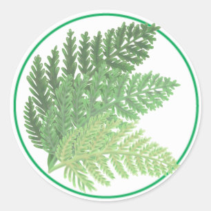 Moss Green Fern Ronde Sticker