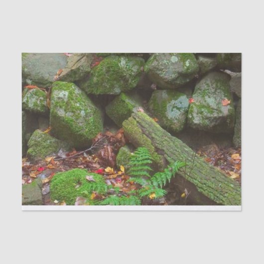 Moss in de Bossen Tissuepapier (Voorkant)