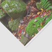 Moss in de Bossen Tissuepapier (Detail)