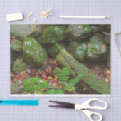 Moss in de Bossen Tissuepapier (Craft)