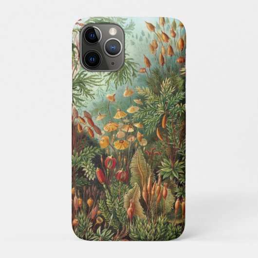 Moss (Muscinae) van Haeckel Case-Mate iPhone Case (Achterkant)