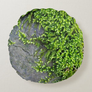Moss on stone (Entodon seductrix) Rond Kussen