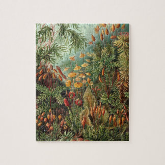  Moss-Planten van Ernst Haeckel, Muscinae Legpuzzel