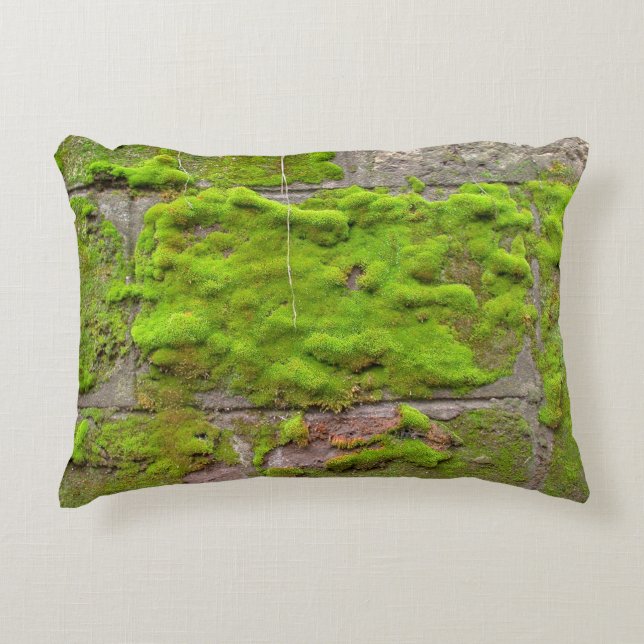 Moss wall green rock texture accent kussen (Voorkant)