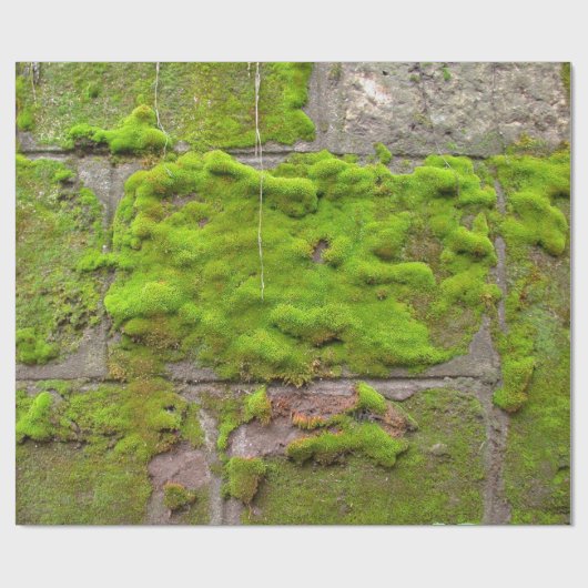Moss wall green rock texture cadeaupapier (Vlak)