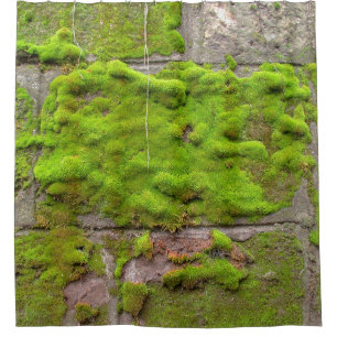 Moss wall green rock texture douchegordijn