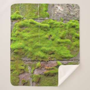 Moss wall green rock texture sherpa deken