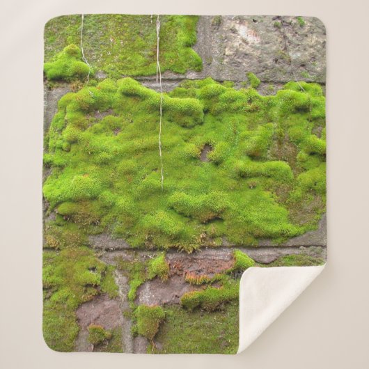 Moss wall green rock texture sherpa deken (Voorkant)