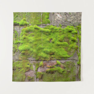 Moss wall green rock texture wandkleed