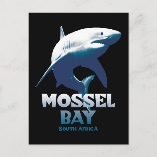 Mossel Bay Grote Witte Haai Duiken Briefkaart (Voorkant)