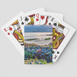 Mosselen Pokerkaarten