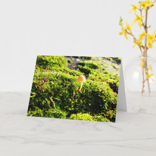 Mossen en lichens met kleine paddenstoelen kaart (Gele Bloem)