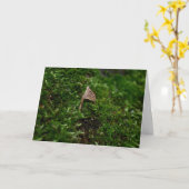 Mossen en lichens met kleine paddenstoelen kaart (Gele Bloem)
