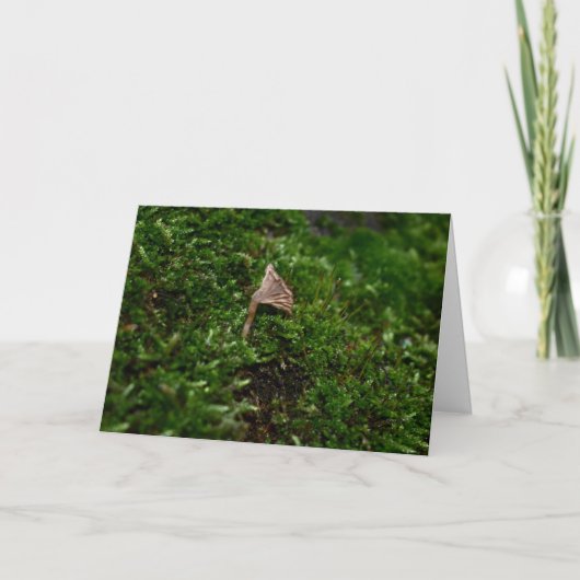 Mossen en lichens met kleine paddenstoelen kaart (Voorkant)