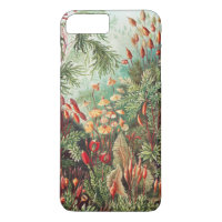 Mossen, Muscinae Laubmoose door Ernst Haeckel