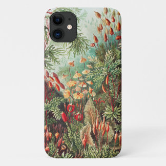 Mossen, Muscinae Laubmoose door Ernst Haeckel iPhone 11 Hoesje