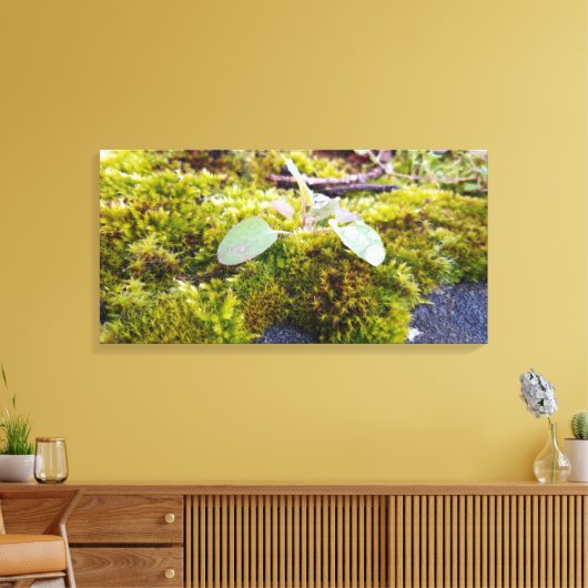 Mosses Canvas Afdruk (Insitu (Woonkamer))