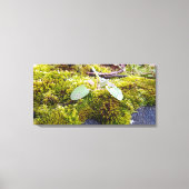 Mosses Canvas Afdruk (Voorkant)