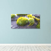 Mosses Canvas Afdruk (Insitu (Houten vloer))