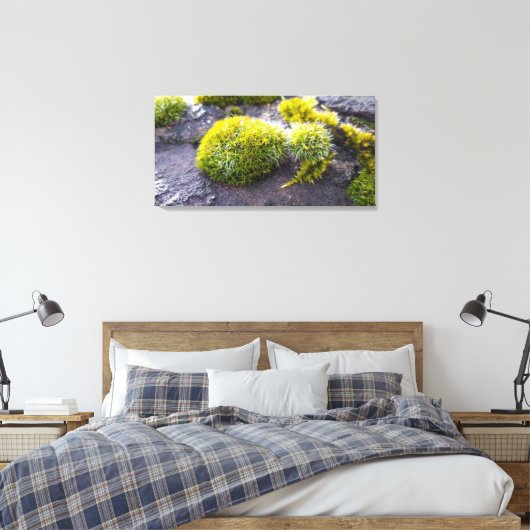 Mosses Canvas Afdruk (Insitu (Slaapkamer))